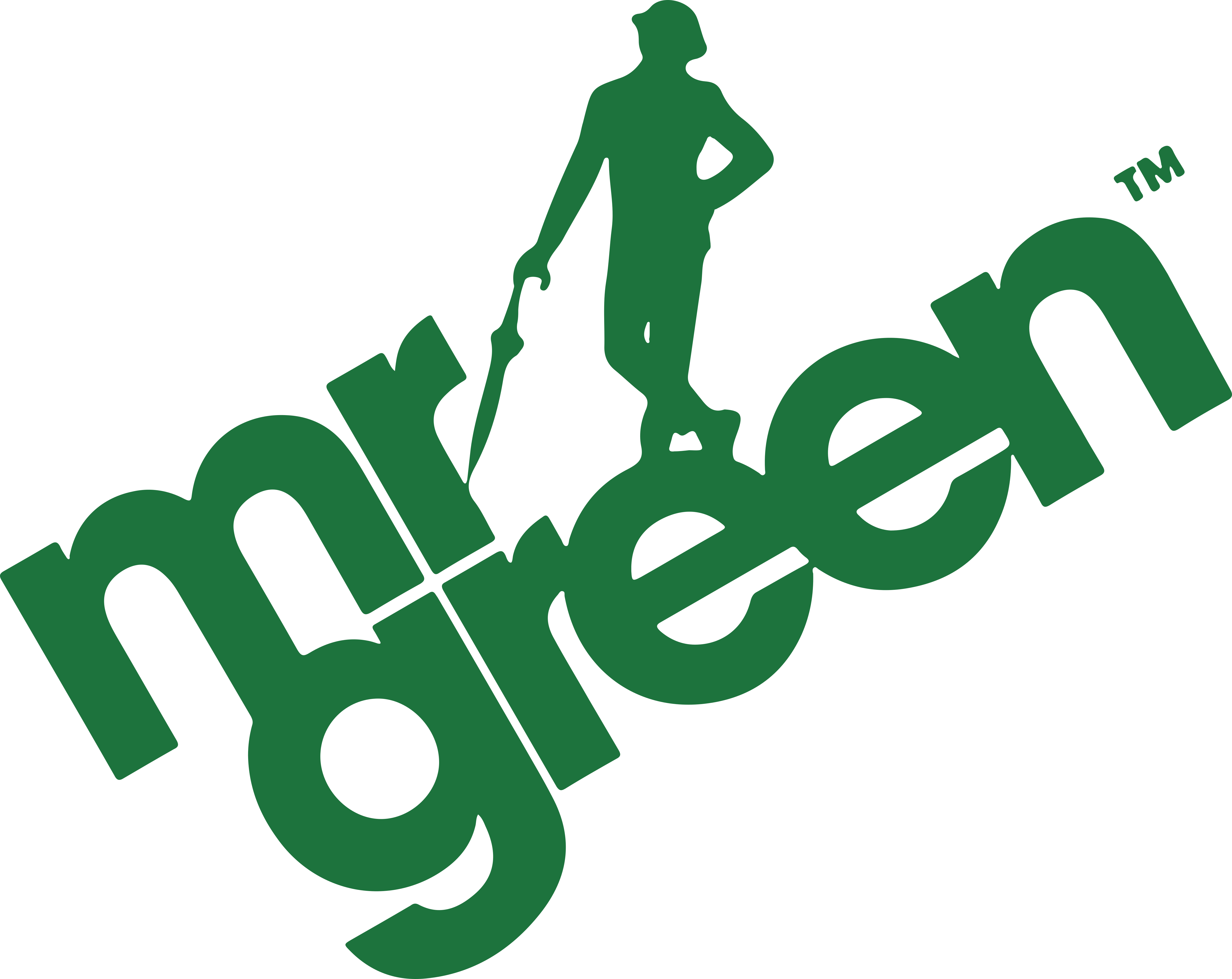 Mr Green